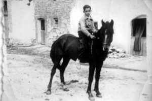 B_retratos_Caballo
