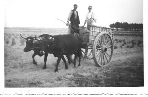 B_oficios_1958-agosto-carro-de-llantas-navalmanzano-damian-justo-y-marina