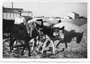 B_oficios_1958-agosto-eras-de-navalmanzano-trillando