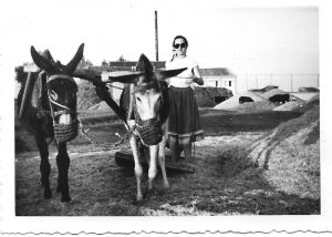 B_oficios_1958-agosto-eras-navalmanzano-trillando II