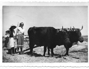 B_oficios_1958-agosto-eras-navalmanzano-trilllando III