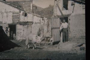 B_oficios_Ganadería 1965
