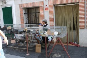 img_4713