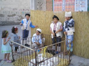 usos2009_8