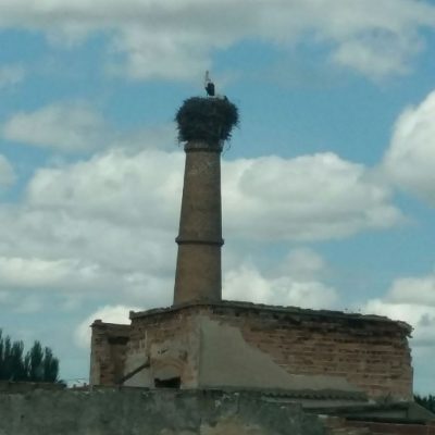 Chimenea de la fábrica con la cigüeña
