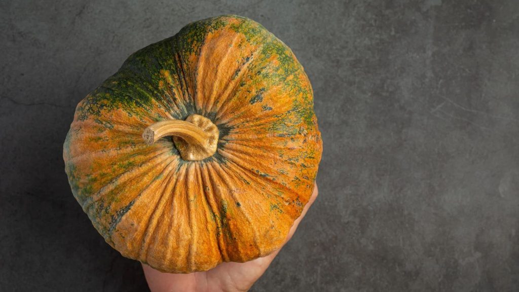 Calabaza de secano
