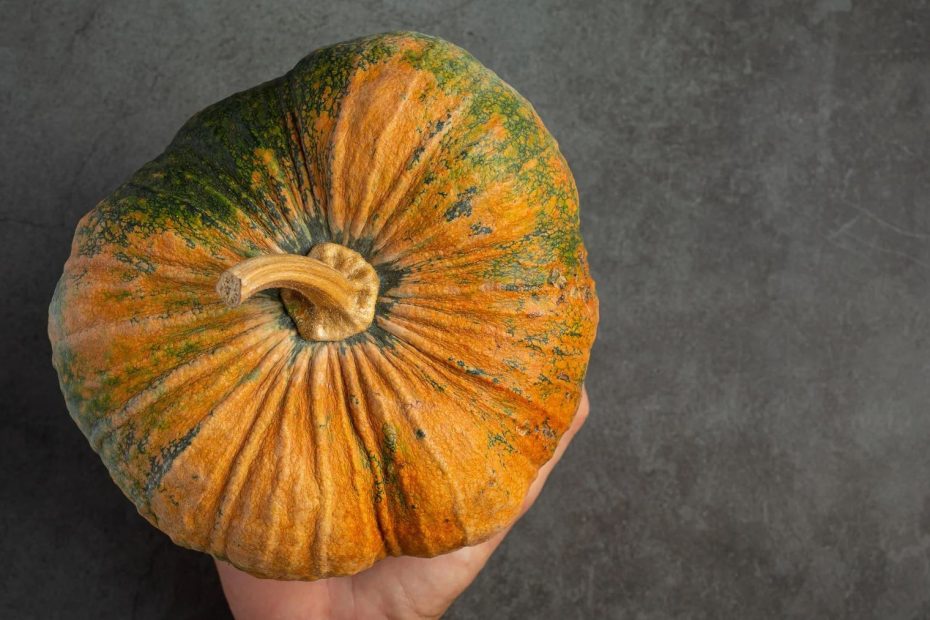Calabaza de secano