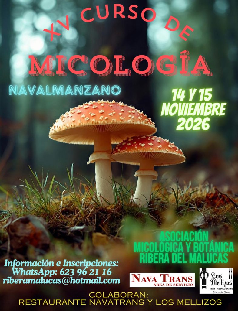 Cartel del XV Curso de Micología en Navalmanzano Segovia 2026
