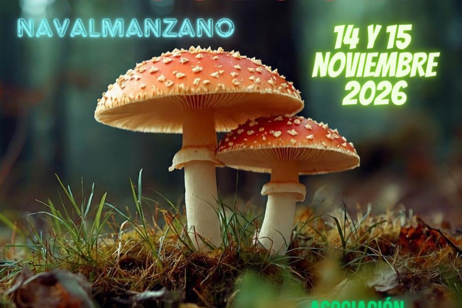 XV Curso de Micología - Navalmanzano